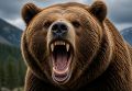 В Таштагольском округе — режим повышенной готовности: медведи выходят к людям!