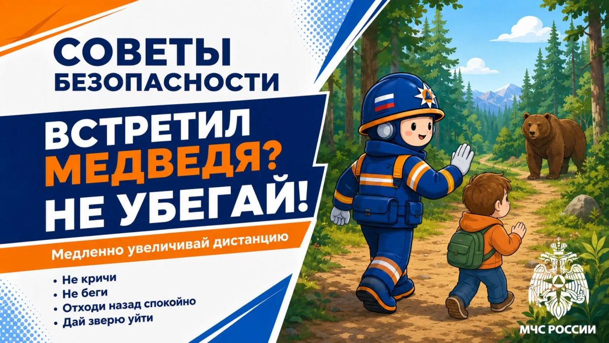 Встретил дикое животное? Главное — не паниковать Встретил дикое животное? Главное — не паниковать