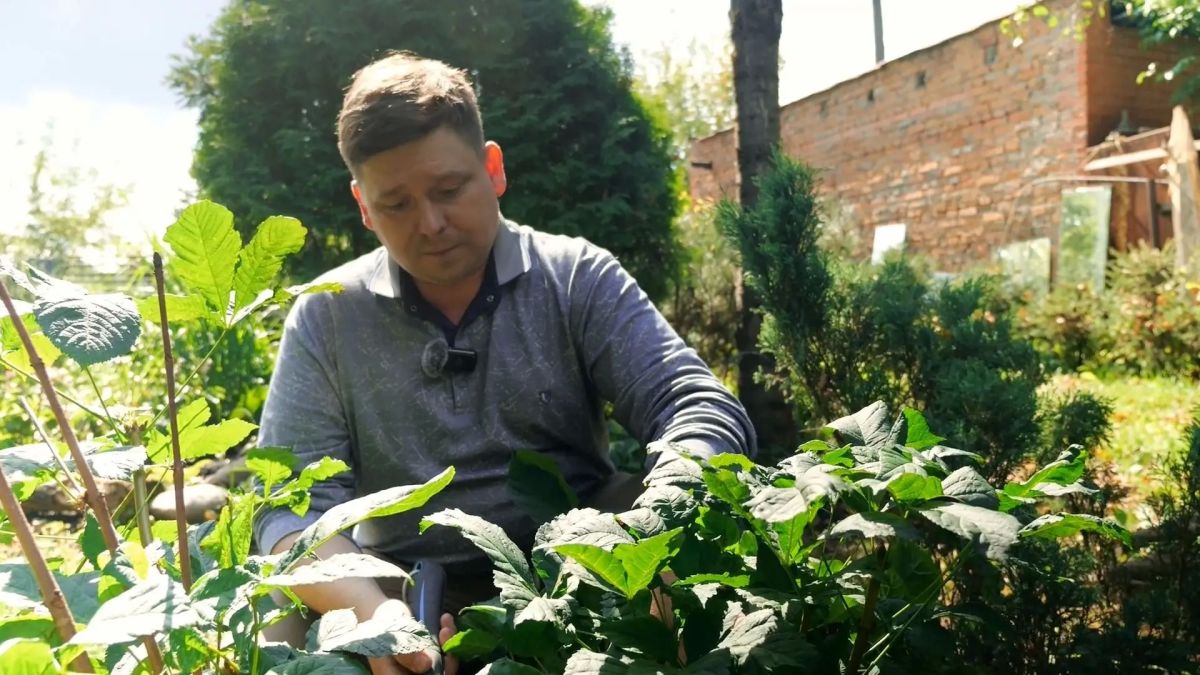 В новом выпуске программы «Вперёд, товарищи! На дачу!» встречаем осень и осматриваем урожай: В новом выпуске программы «Вперёд, товарищи! На дачу!» встречаем осень и осматриваем урожай: