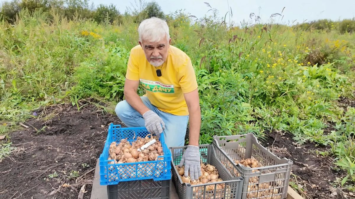 В новом выпуске программы «Вперёд, товарищи! На дачу!» встречаем осень и осматриваем урожай: В новом выпуске программы «Вперёд, товарищи! На дачу!» встречаем осень и осматриваем урожай: