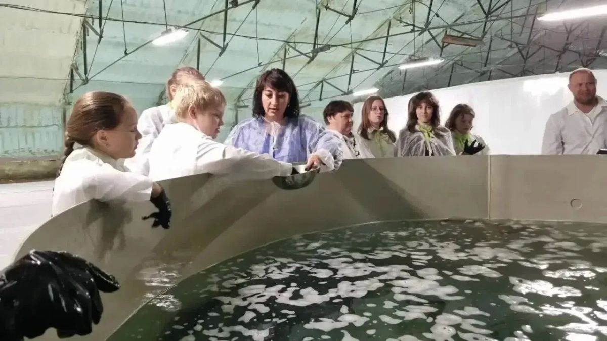 В Кузбассе заработал современный комплекс по выращиванию осетра В Кузбассе заработал современный комплекс по выращиванию осетра