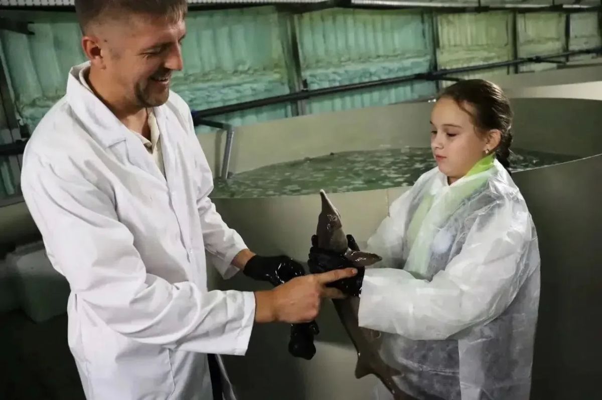 В Кузбассе заработал современный комплекс по выращиванию осетра В Кузбассе заработал современный комплекс по выращиванию осетра