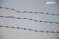 В Кузбассе пресечена деятельность экстремистской организации