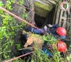 В Новокузнецке спасли собаку, упавшую в заброшенную штольню