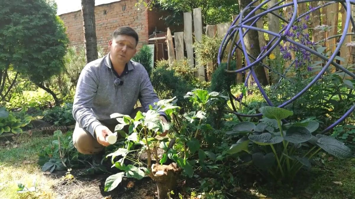 В новом выпуске программы «Вперёд, товарищи! На дачу!» встречаем осень и осматриваем урожай В новом выпуске программы «Вперёд, товарищи! На дачу!» встречаем осень и осматриваем урожай