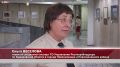 Овощные ярмарки заработали в Новокузнецке
