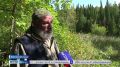#продолжениеистории. Исчезли рыба, бобры, пасеки: в Яшкинском округе очистные сооружения привели к серьезным экологическим проблемам Теперь вместо пруда - болото, в лесу пахнет не свежестью, а нечистотами
