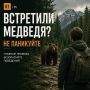 Встретить медведя в лесу – ситуация, к которой лучше быть готовым заранее