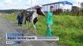 #выборы2026. В отдалённых территориях Кузбасса началось досрочное голосование Центризбирком проводит эксперимент по доставке бюллетеней и документации с помощью квадрокоптеров