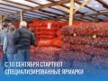 Сезон свежих овощей начинается в Новокузнецке!