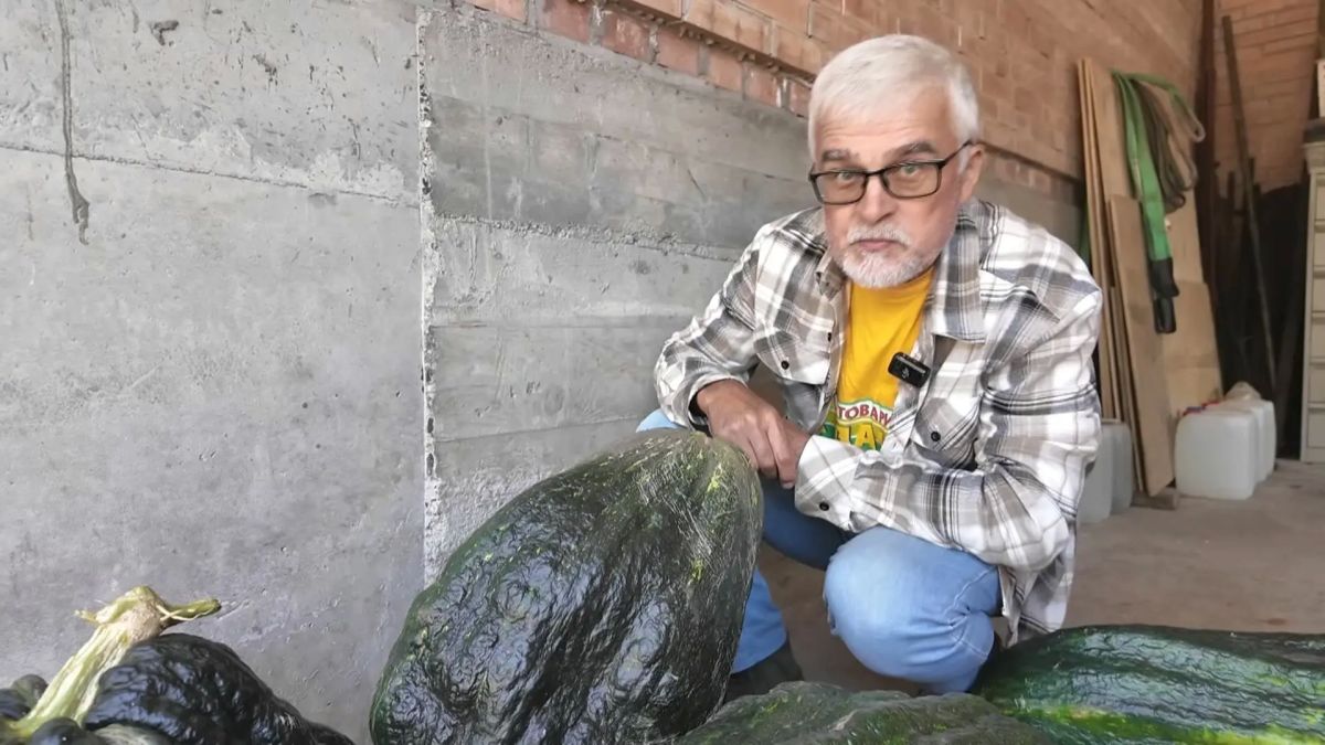 Программа «Вперёд, товарищи! На дачу!» в гостях у любителей гигантских овощей: Программа «Вперёд, товарищи! На дачу!» в гостях у любителей гигантских овощей: