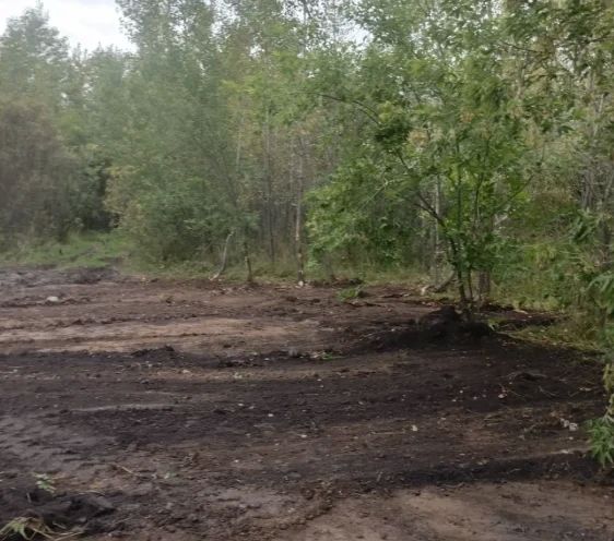 В городе Кемерово ликвидирована еще одна несанкционированная свалка В городе Кемерово ликвидирована еще одна несанкционированная свалка