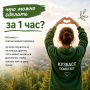 Один час — и доброе дело уже сделано