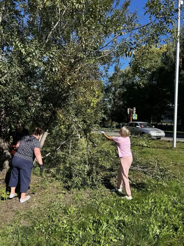 400 квадратов свободы и 40 кубов веток: в жилом районе Ягуновский на Белозерной прошёл субботник 400 квадратов свободы и 40 кубов веток: в жилом районе Ягуновский на Белозерной прошёл субботник
