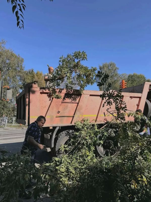 400 квадратов свободы и 40 кубов веток: в жилом районе Ягуновский на Белозерной прошёл субботник 400 квадратов свободы и 40 кубов веток: в жилом районе Ягуновский на Белозерной прошёл субботник