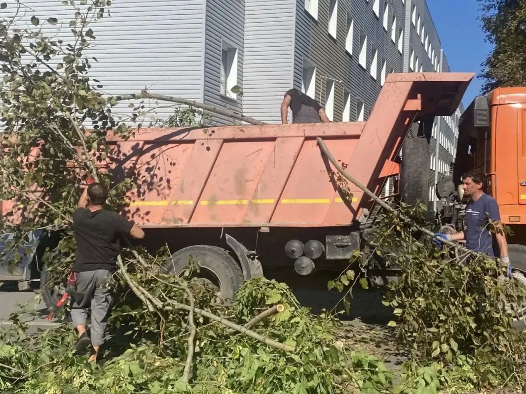 400 квадратов свободы и 40 кубов веток: в жилом районе Ягуновский на Белозерной прошёл субботник 400 квадратов свободы и 40 кубов веток: в жилом районе Ягуновский на Белозерной прошёл субботник