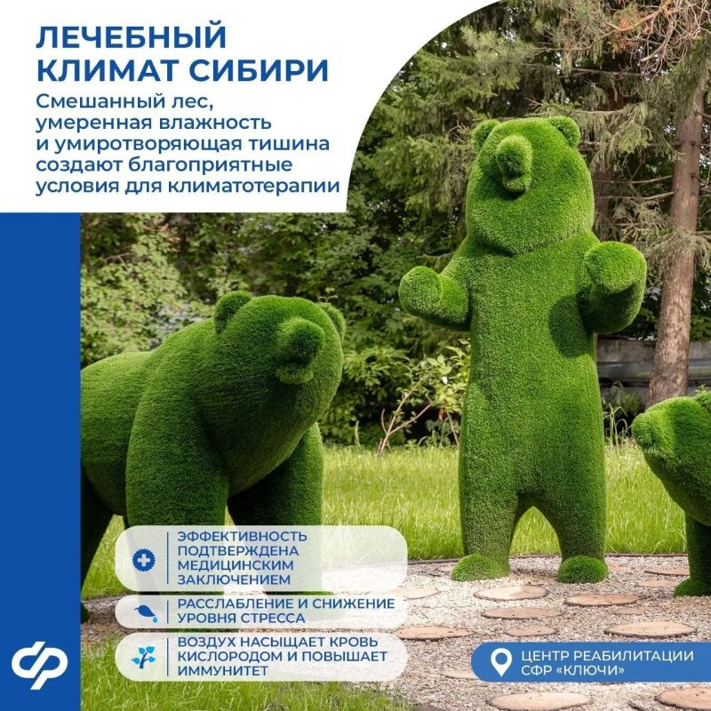 Как проходит комплексная реабилитация в Сибири? Как проходит комплексная реабилитация в Сибири?