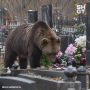 В российских регионах начали запрещать ходить на кладбища с конфетами
