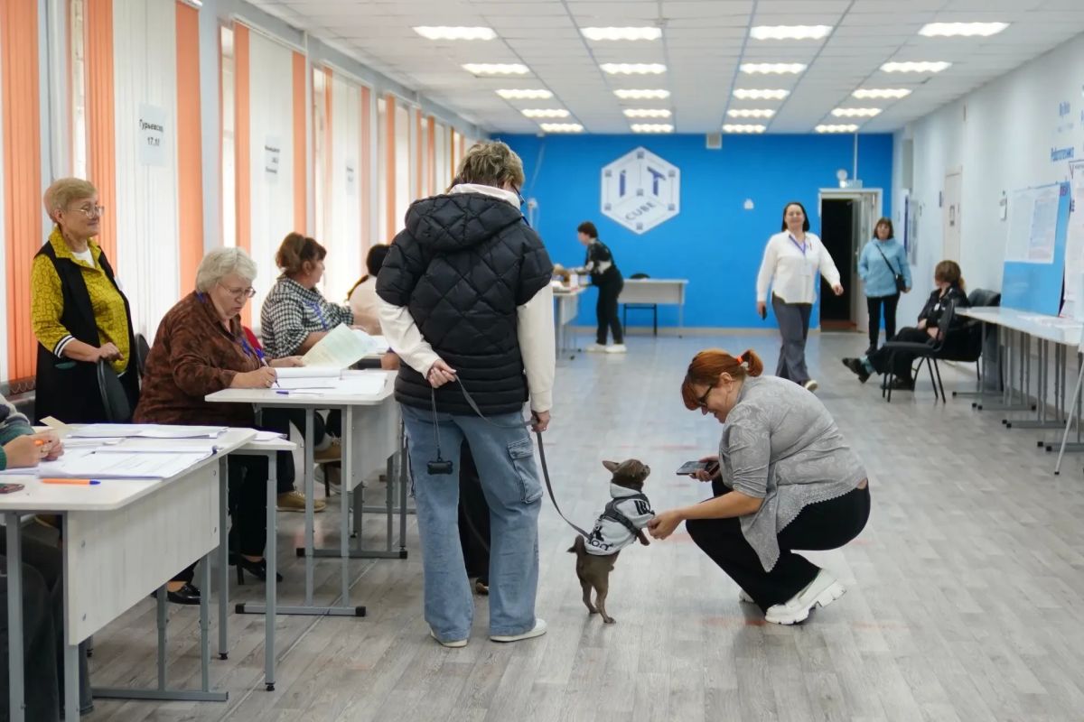 Пушистая поддержка: кемеровчане приходят на выборы с любимыми питомцами Пушистая поддержка: кемеровчане приходят на выборы с любимыми питомцами