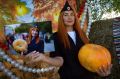 Друзья, в селе Пача на Кузбассе прошёл, пожалуй, самый яркий и красочный фестиваль — и всё благодаря главной героине праздника, солнечной оранжевой тыкве!