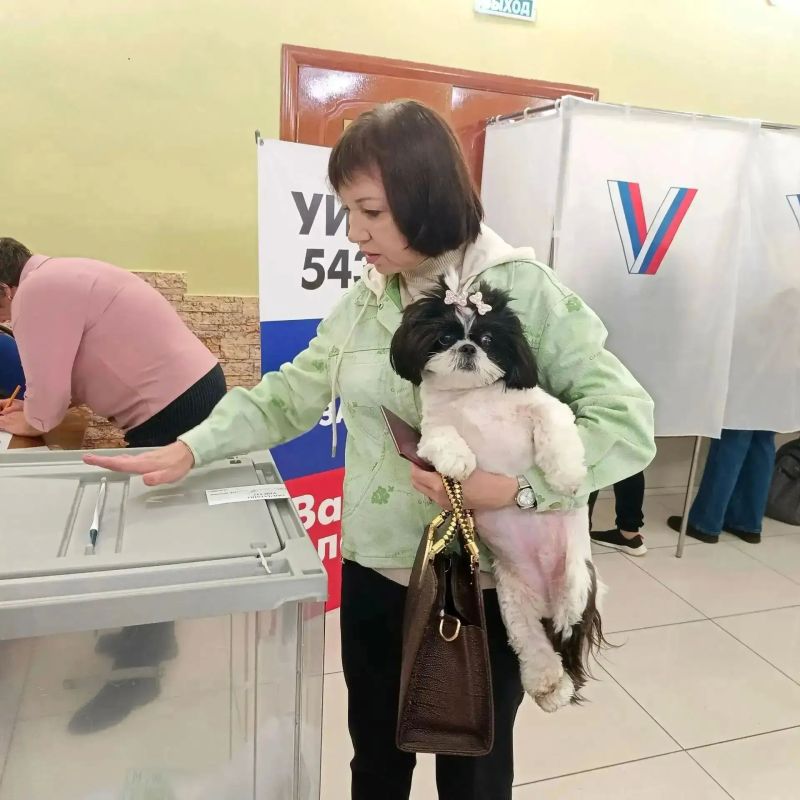 У них – лапки. Но они все равно пришли на выборы! У них – лапки. Но они все равно пришли на выборы!