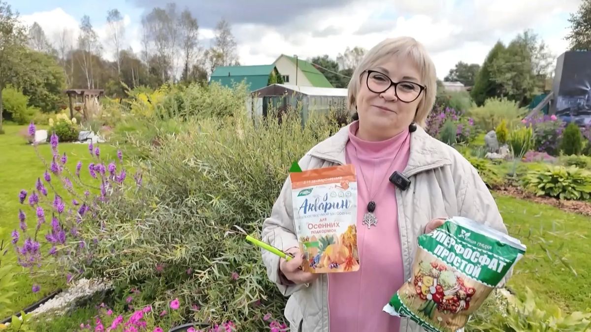 В новом выпуске программы «Вперёд, товарищи! На дачу» результаты работы и урожай этого летнего сезона: В новом выпуске программы «Вперёд, товарищи! На дачу» результаты работы и урожай этого летнего сезона: