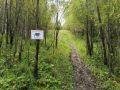 В Кузбассе отменили несколько спортивных забегов из-за нашествия медведей