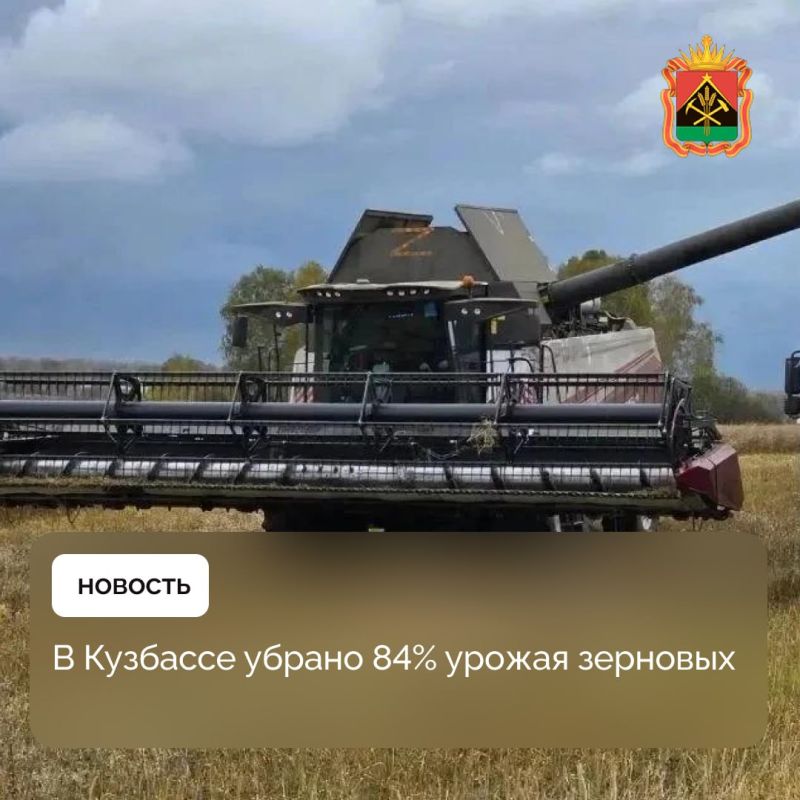 В Кузбассе убрано 84% урожая зерновых