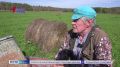 Больше 30 лет занимается сельским хозяйством фермер из Крапивинского округа Андрей Крафт