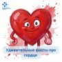 Даже такому «трудяге» нужна забота