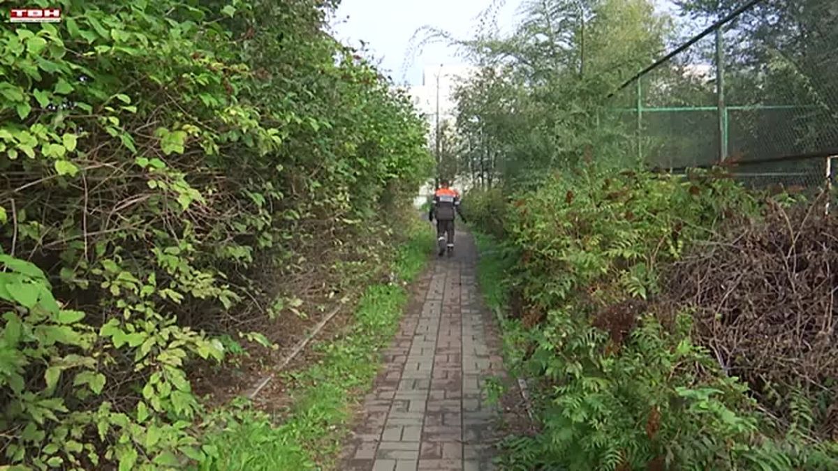 Сотрудники ЕВРАЗа на субботнике в Заводском районе