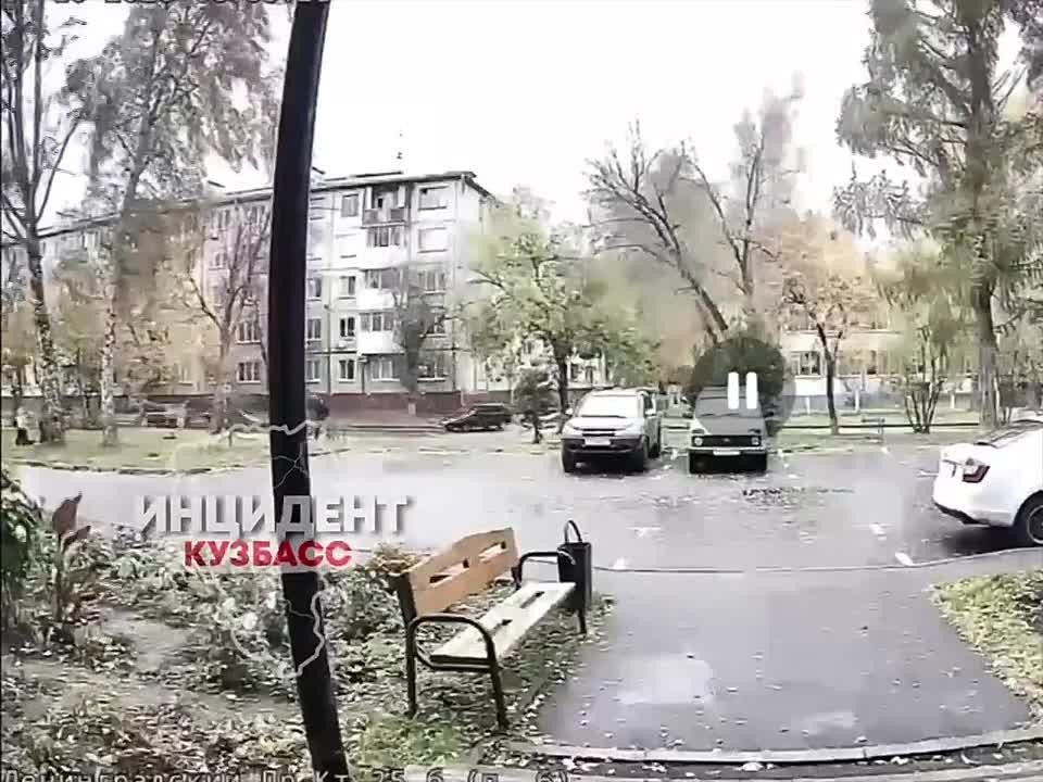 В Кемерове дерево упало во дворе по проспекту Ленинградский, 25б