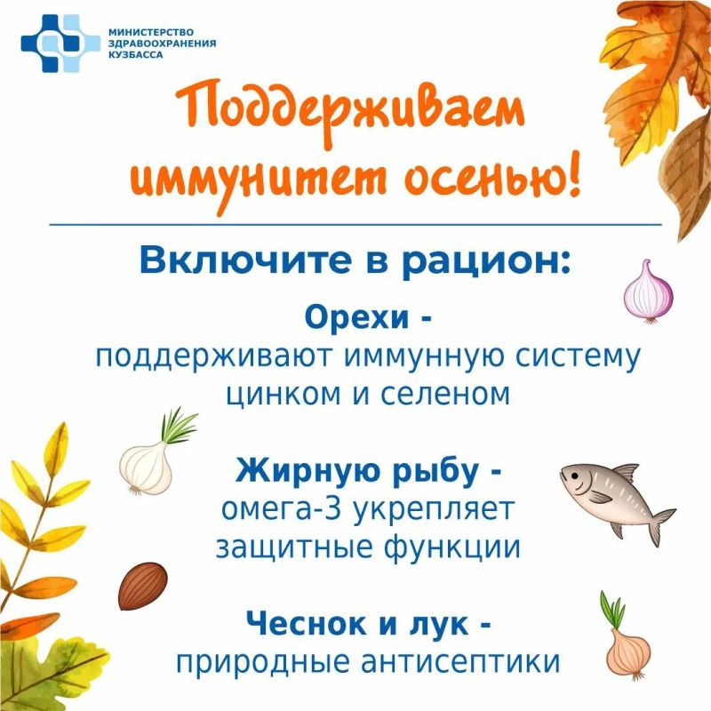 С приходом холодов наш организм особенно нуждается в поддержке С приходом холодов наш организм особенно нуждается в поддержке