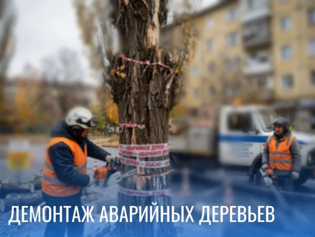 На участке автодорог улиц Горноспасательная и Димитрова с 23:00 27.10.2026 до 05:00 28.10.2026 продолжаются работы по демонтажу аварийных деревьев