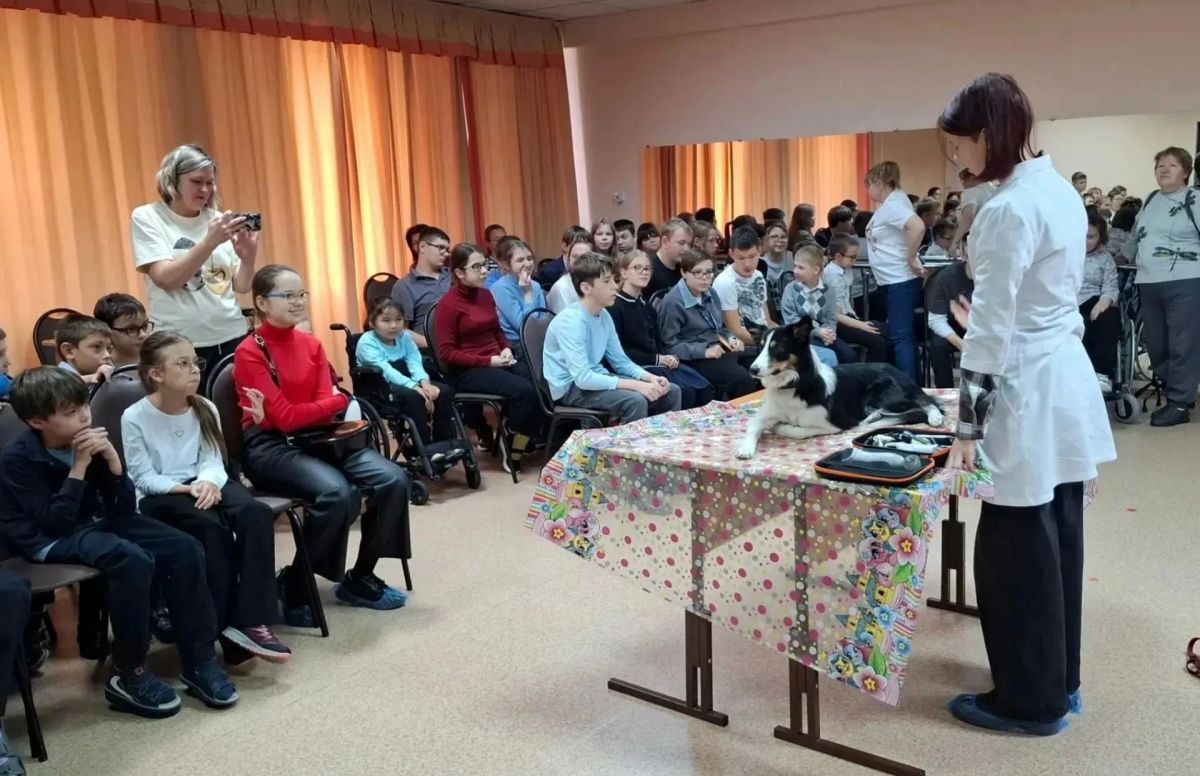 Кемеровские школьники встретились с будущим ветеринаром и его четвероногим другом Кемеровские школьники встретились с будущим ветеринаром и его четвероногим другом