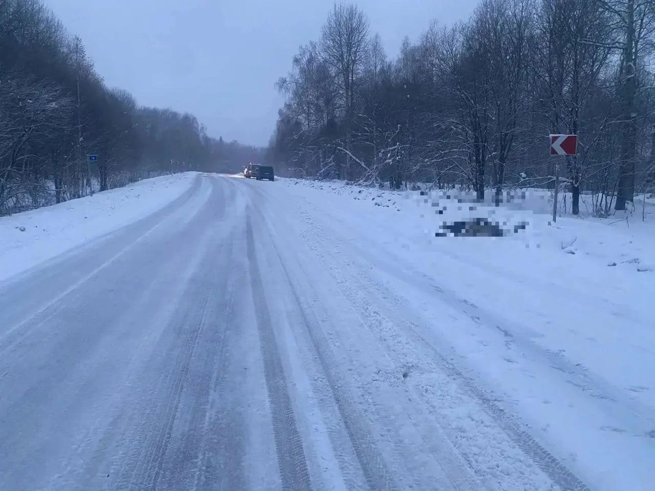 На дороге "Кузедеево-Мундыбаш-Таштагол" машина сбила лося